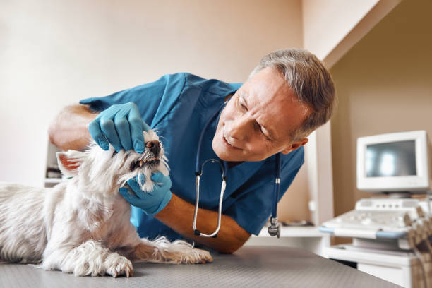 Best Emergency Tooth Extraction in Jamaica Beach, TX