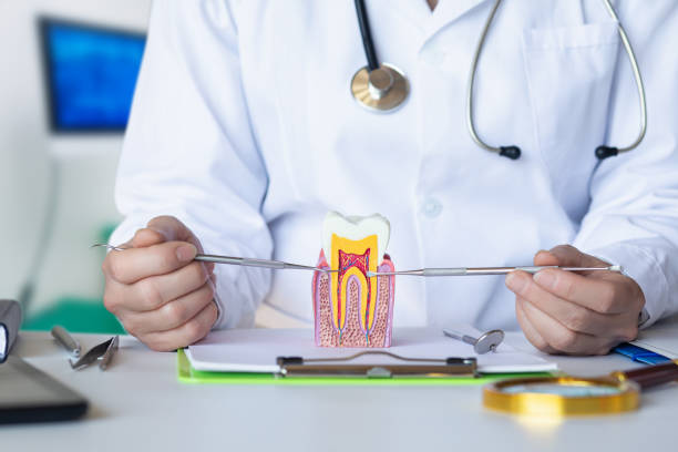 Best Emergency Tooth Extraction in Jamaica Beach, TX
